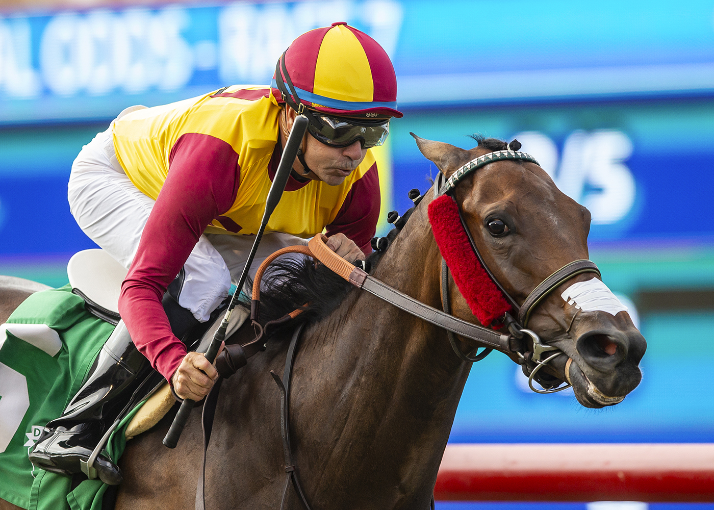 Joe Bravo aboard Pura Vida Princesa | Benoit Photo